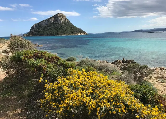 度假居 Cielo E Mare